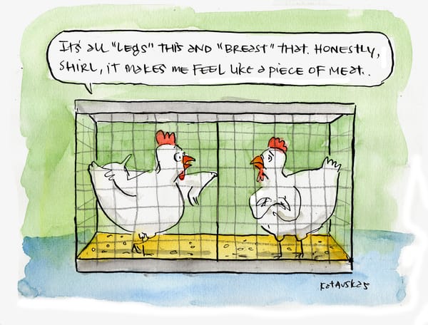 Poultry concerns...