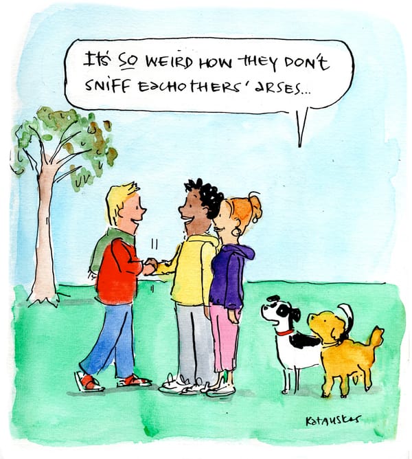 What dogs really think of their humans...